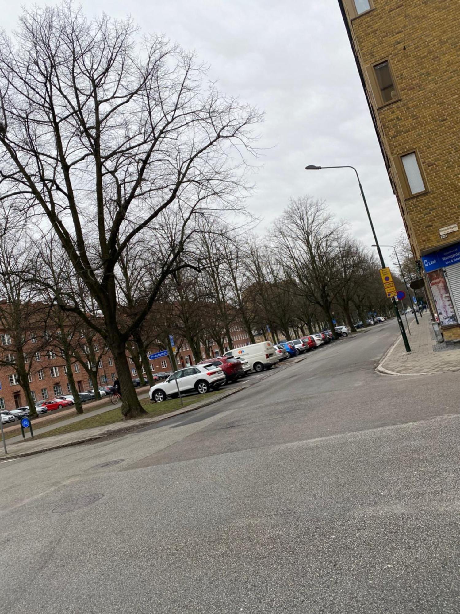 Comfort Appartment In Vaernhem, Malmoe Εξωτερικό φωτογραφία